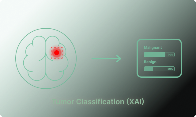 Tumor Classification